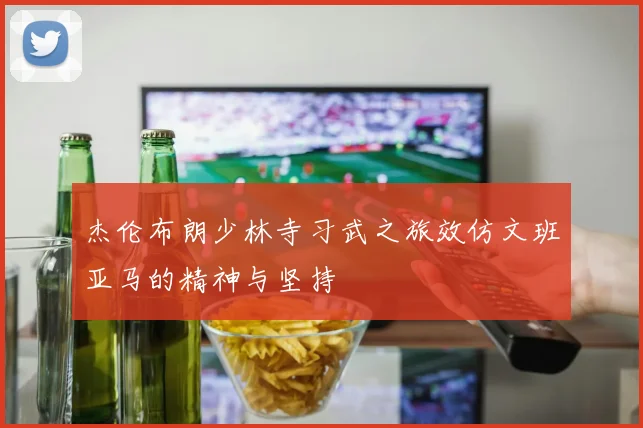 杰伦布朗少林寺习武之旅效仿文班亚马的精神与坚持