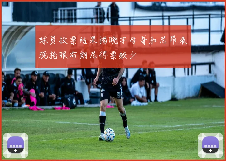 球员投票结果揭晓字母哥和尼昂表现抢眼布朗尼得票较少