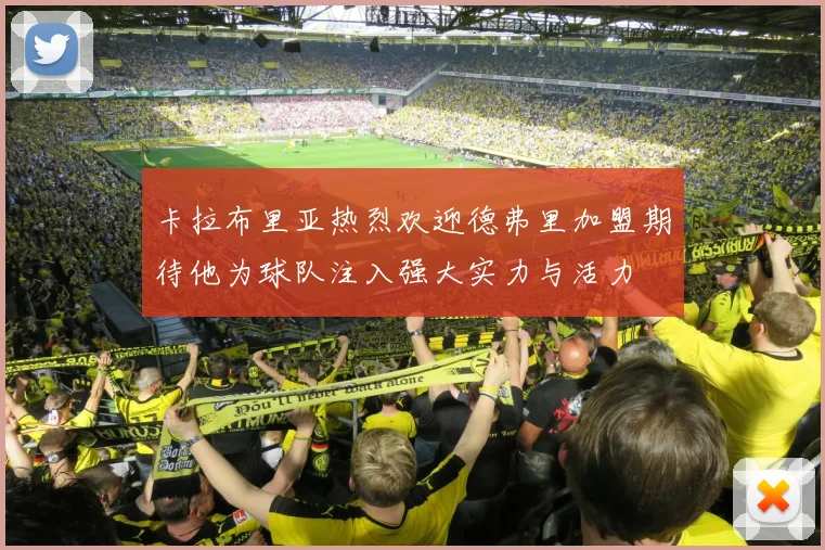 卡拉布里亚热烈欢迎德弗里加盟期待他为球队注入强大实力与活力