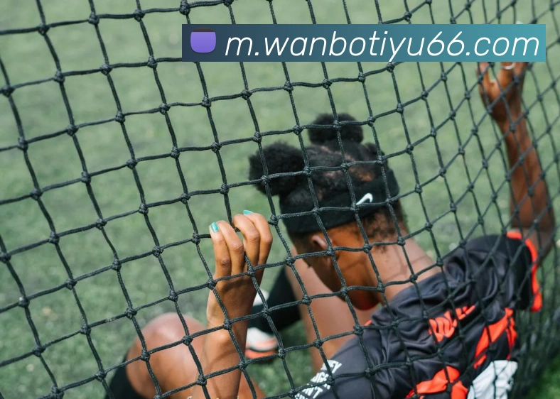 万博体育平台生态图